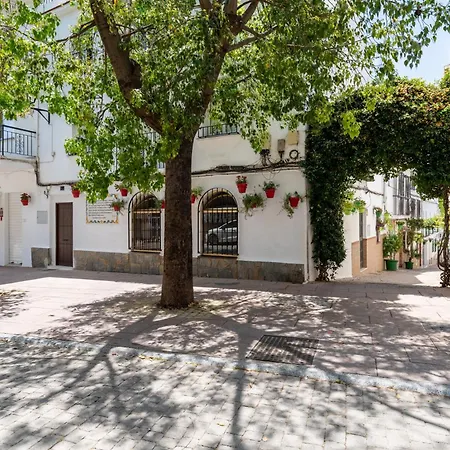 Augusto Collection Boutique Old Town Estepona