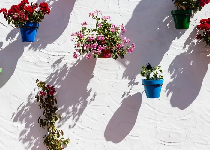 Augusto Collection Boutique Old Town